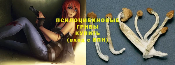 дмт Богданович
