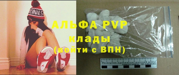 дмт Богданович