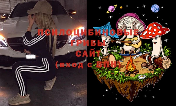 крисы Белоозёрский