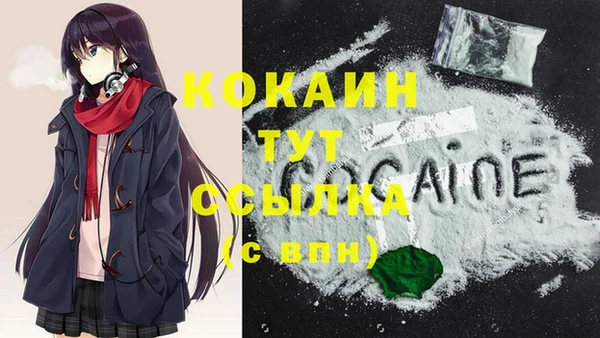 мдпв Белокуриха