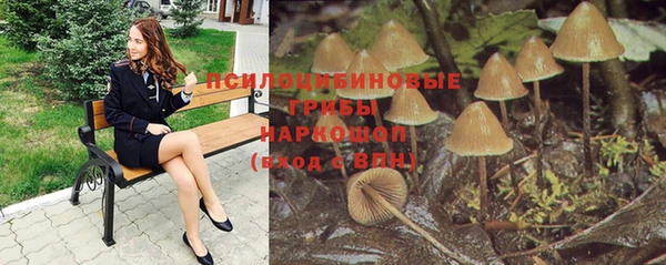 дмт Богданович