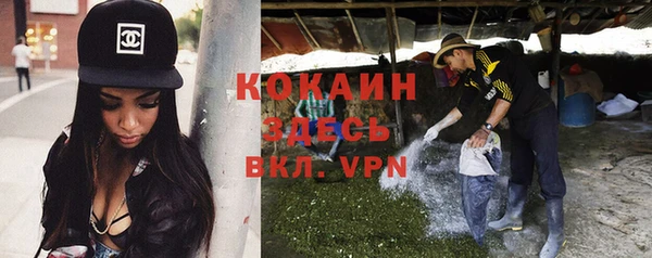 дмт Богданович