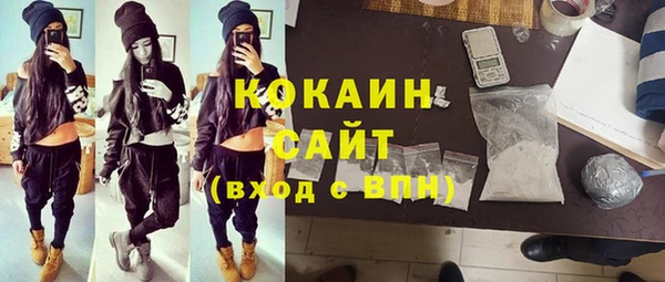 дмт Богданович
