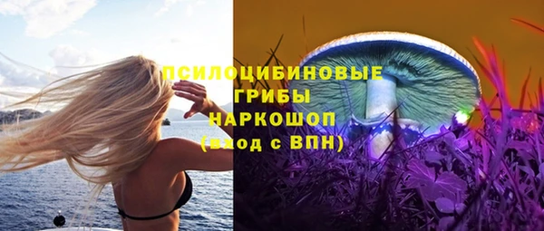 крисы Белоозёрский